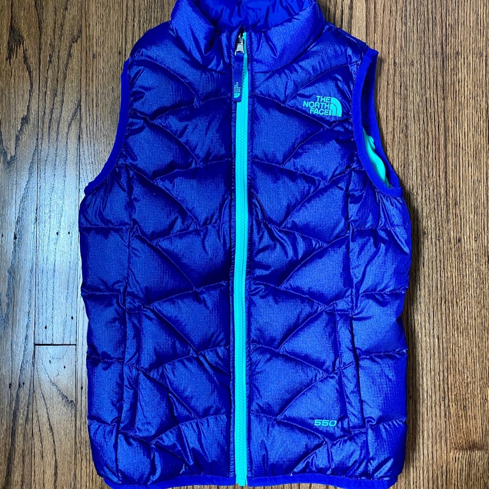 The North Face 550 Vest